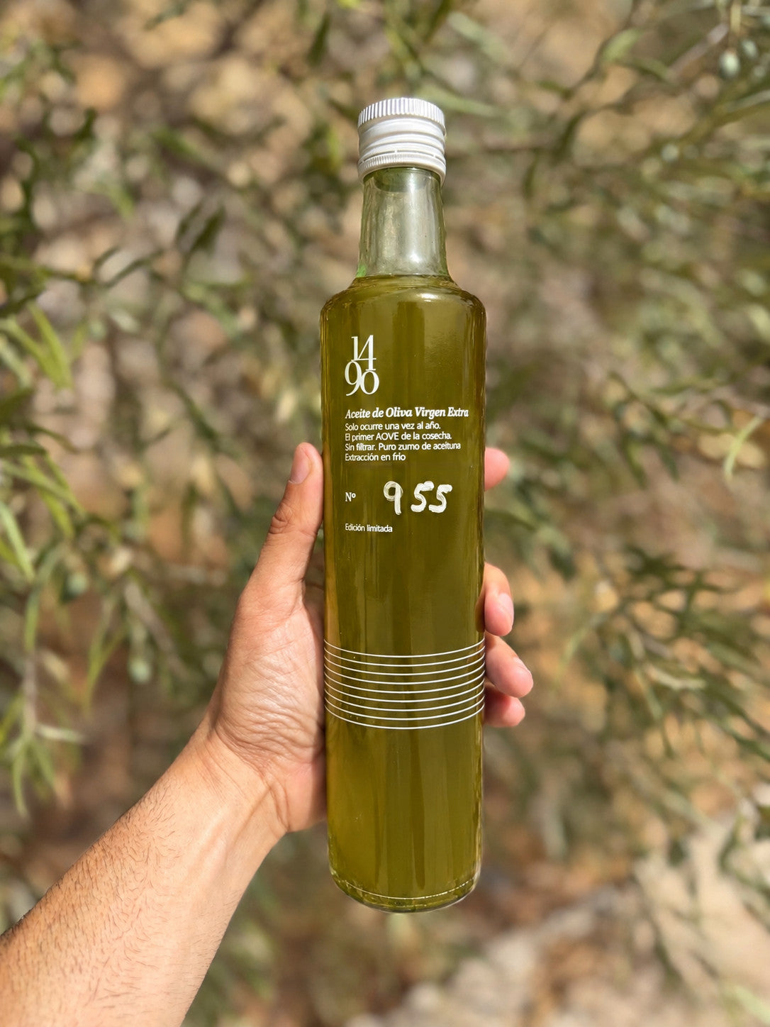 Aceites del día a día