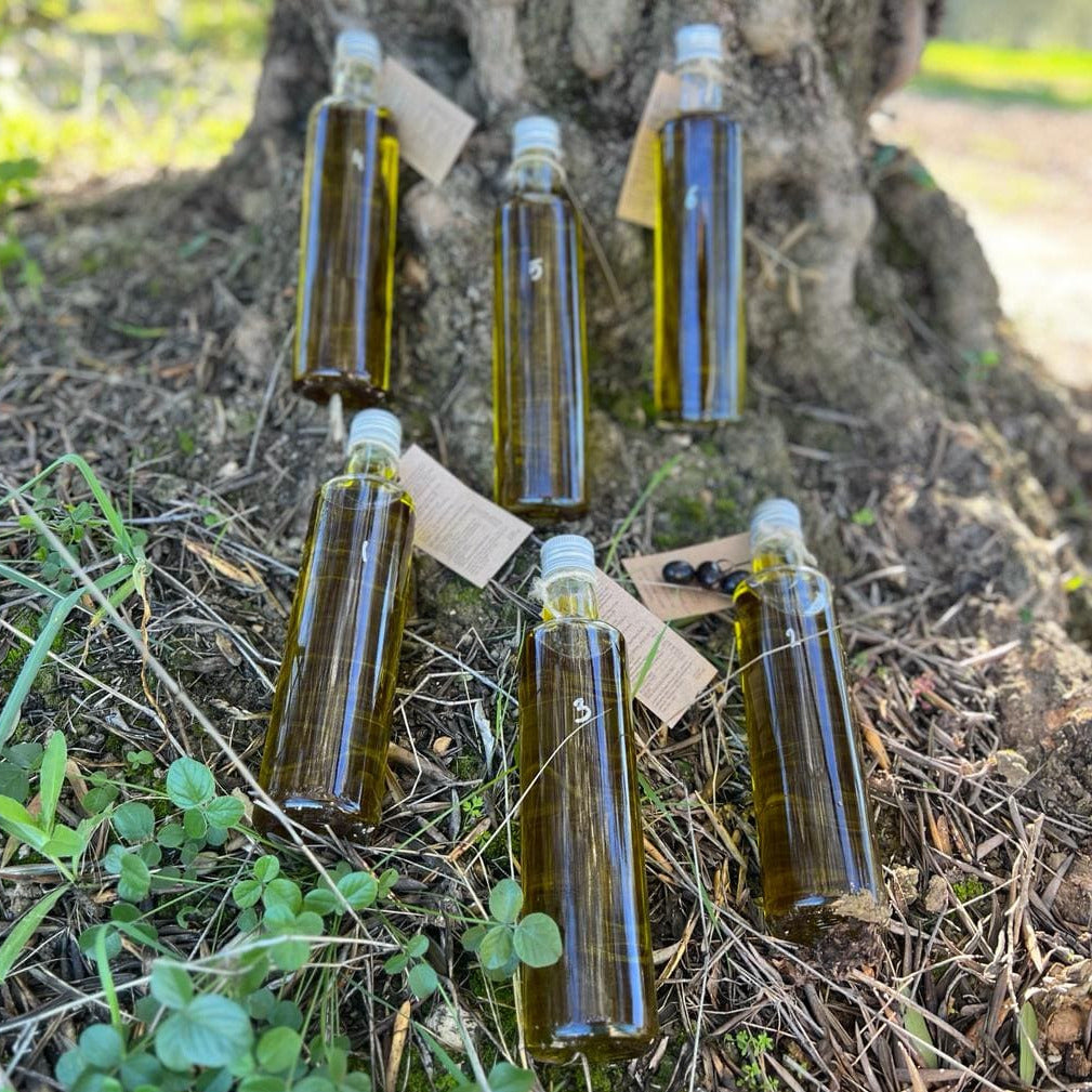 Olio d'autore