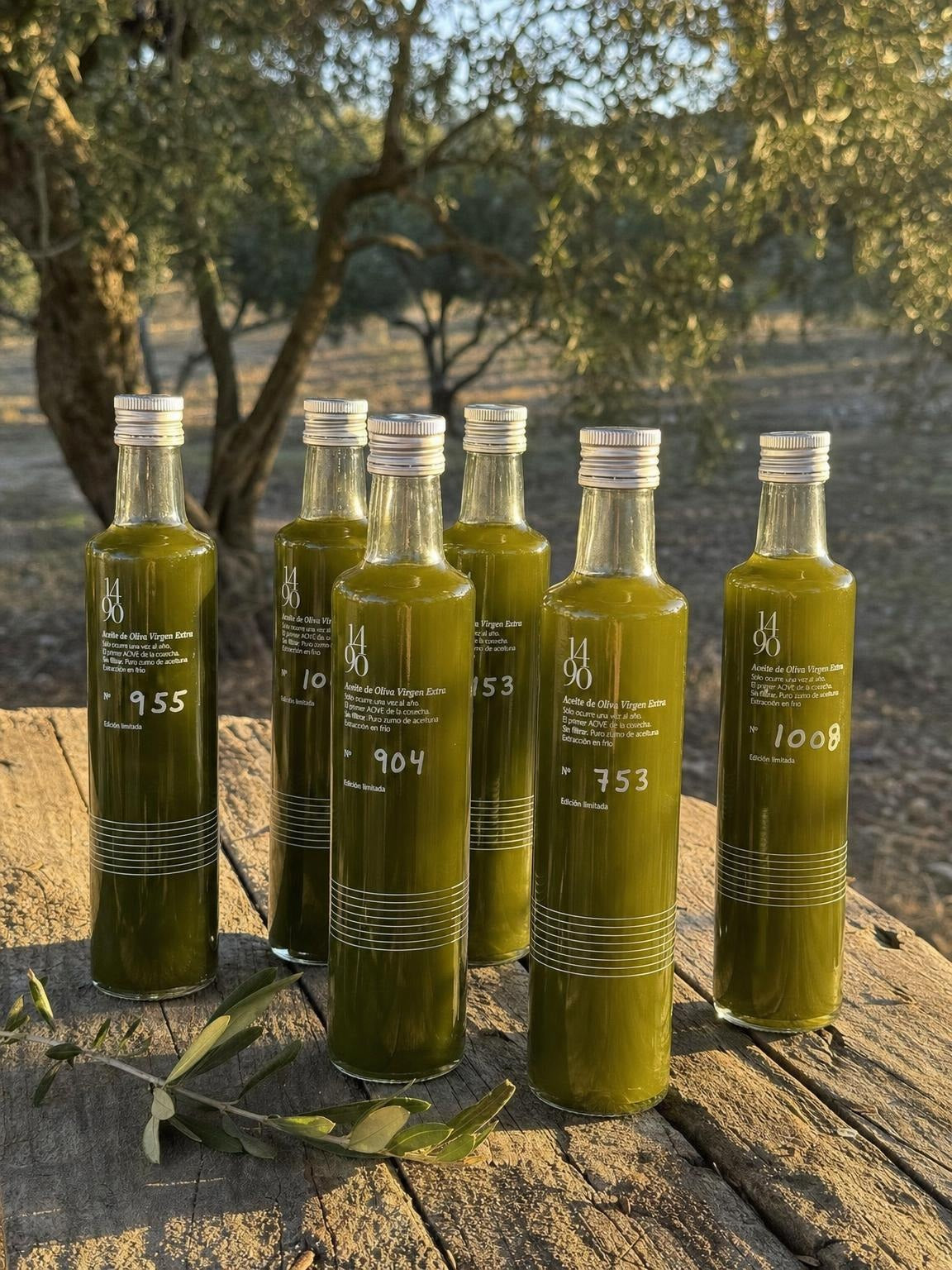 Pack 6 botellas · Cosecha sin filtrar 1490
